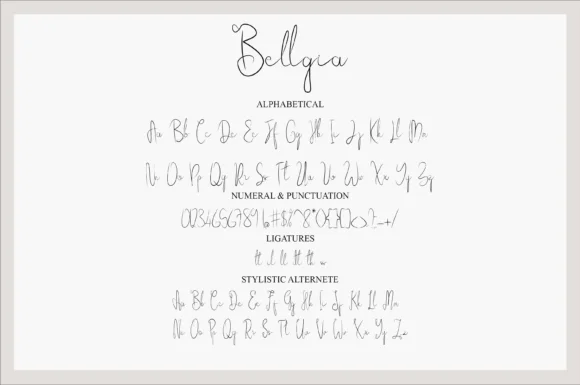 Bellgia Font by Muksal Creative — Script Handwritten Font — thumbnail 4