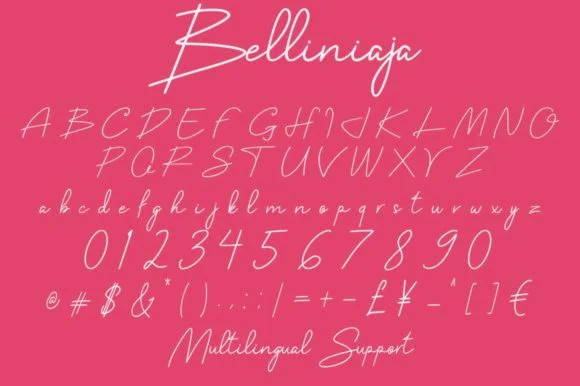 Belliniaja Font by bee.genin — Script Handwritten Font — thumbnail 6