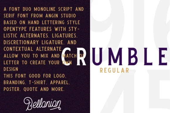 Bellonion Font by Angin Studio — Script Handwritten Font — thumbnail 2