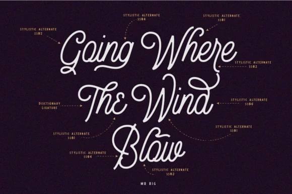 Bellonion Font by Angin Studio — Script Handwritten Font — thumbnail 4