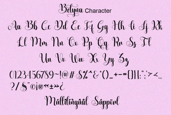 Belyna Font by Sealoung — Script Handwritten Font — thumbnail 9
