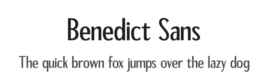 Benedict Sans by Storytype Studio — Sans Serif Font