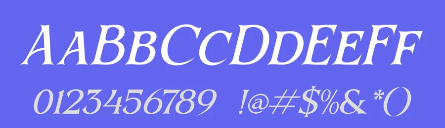 Beqiner by Denustudios — Serif Font — thumbnail 3
