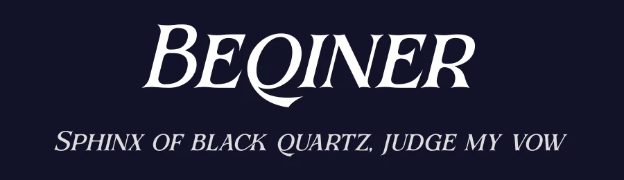 Beqiner by Denustudios — Serif Font — thumbnail 2