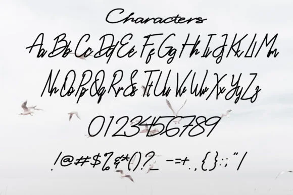 Berdikari Font by syakaltype — Script Handwritten Font — thumbnail 5