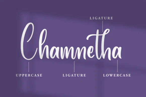 Berlossiana Font by FatmaStudio — Script Handwritten Font — thumbnail 9