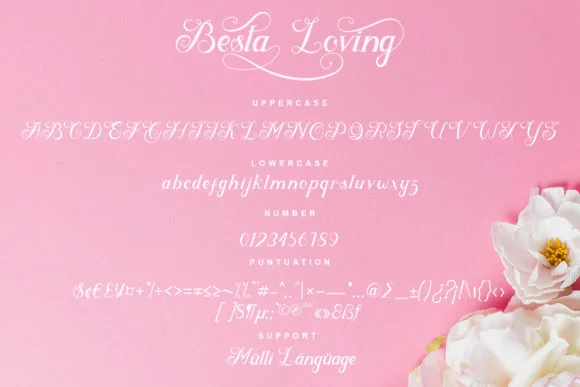 Besta Loving Font by YanStudio — Script Handwritten Font — thumbnail 7