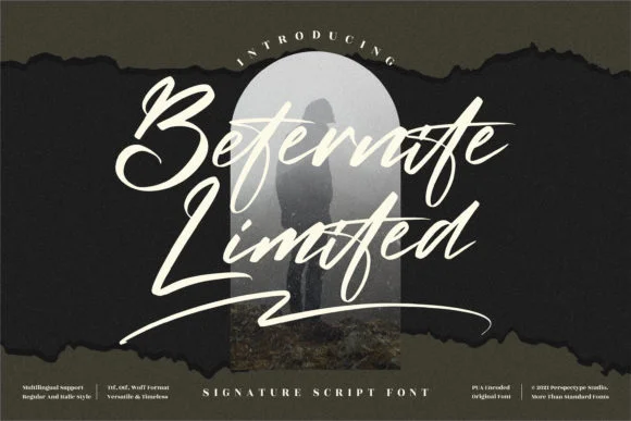 Beternite Limited Font by Perspectype — Serif Font