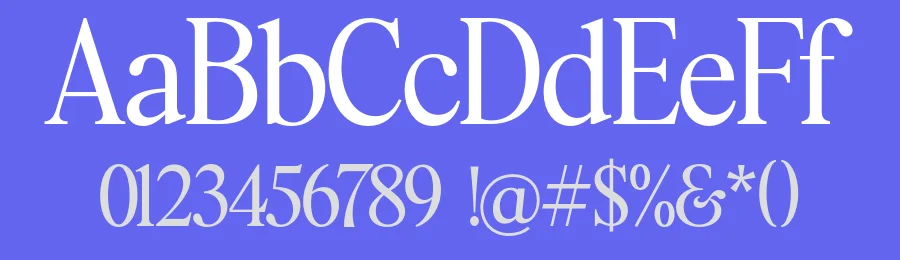 Bethany Elingston by Attract Studio — Serif Font — thumbnail 3