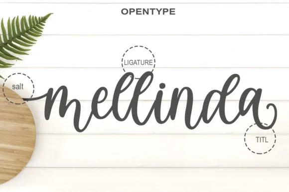 BetterLove Font by Letterfand.Studio by Letterfand.Studio — Script Handwritten Font — thumbnail 8