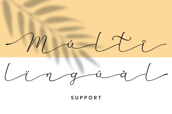 Betti Script Font by attypestudio — Serif Font — thumbnail 5