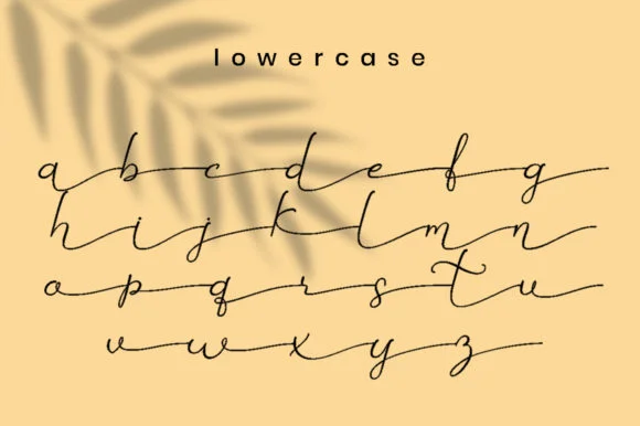 Betti Script Font by attypestudio — Serif Font — thumbnail 6