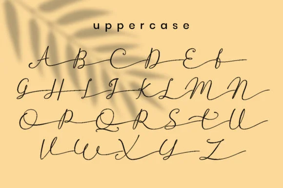 Betti Script Font by attypestudio — Serif Font — thumbnail 7