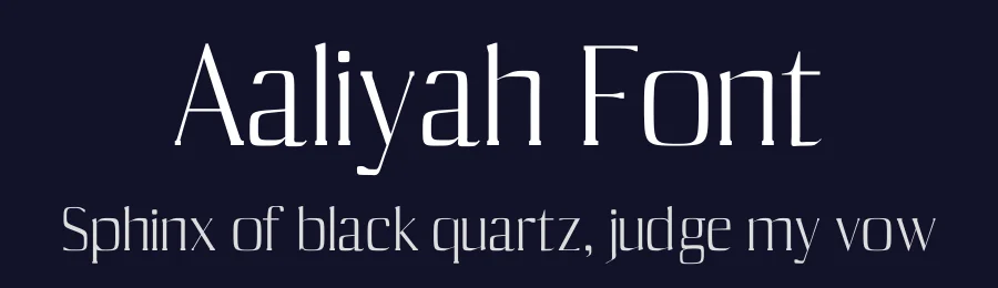 Aaliyah Font by Creativetacos — Serif Font — thumbnail 2