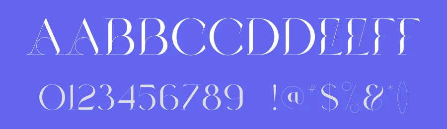 Abelia Font by vpcreativeshop — Serif Font — thumbnail 3