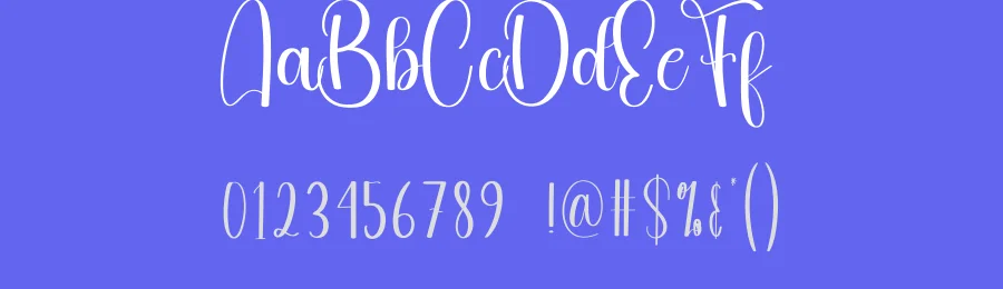 Account Script Font by andikastudio — Script Handwritten Font — thumbnail 3