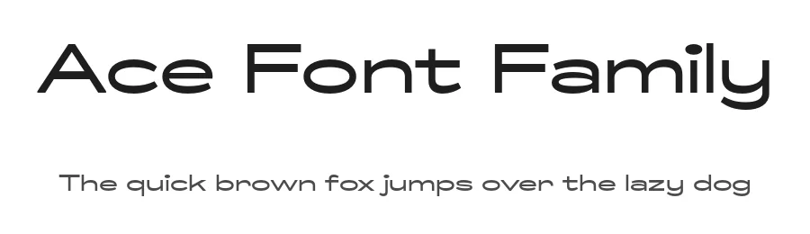 Ace Font Family by Lift Type — Sans Serif Font