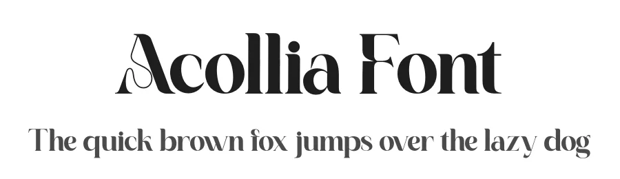 Acollia Font by saemooncreative — Serif Font