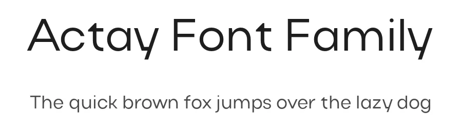 Actay Font Family by Arodora Type — Sans Serif Font