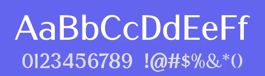 Adegoke Serif Font by Wildan Type — Sans Serif Font — thumbnail 3