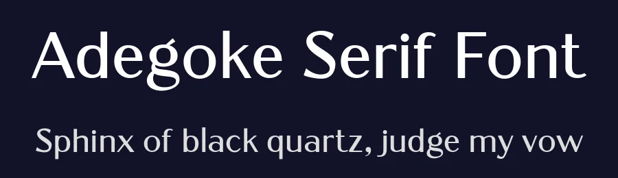 Adegoke Serif Font by Wildan Type — Sans Serif Font — thumbnail 2