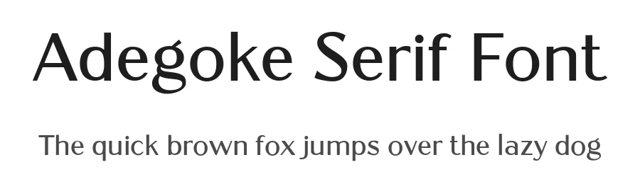Adegoke Serif Font by Wildan Type — Sans Serif Font