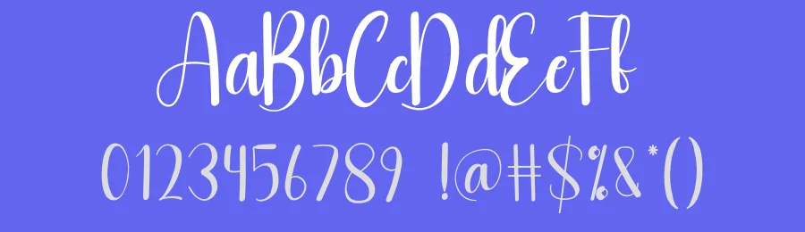 Adjustment Script Font by andikastudio — Script Handwritten Font — thumbnail 3