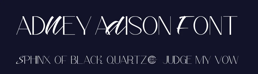 Adney Adison Font by RaisProject — Display Font — thumbnail 2