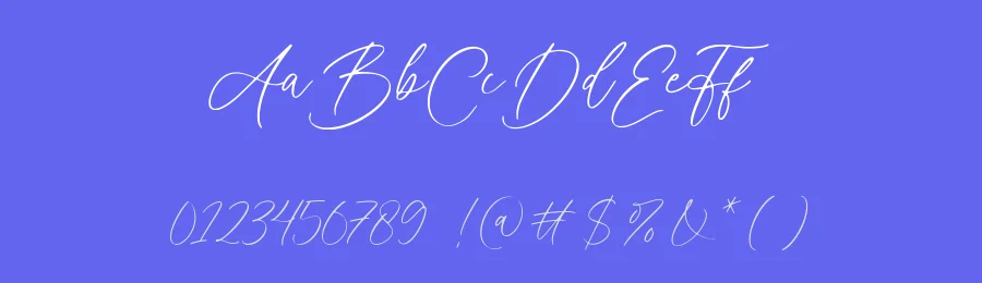 Adonitha Font by AesthericaStudio — Script Handwritten Font — thumbnail 3