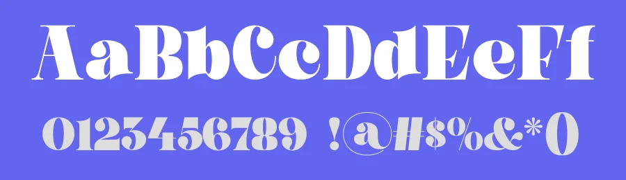 Aelica Font by MaikoHatta — Serif Font — thumbnail 3