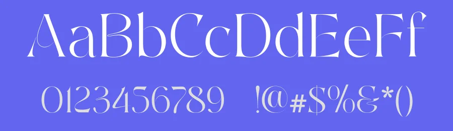 Aelyn Serif Font by Surplus Type Co — Serif Font — thumbnail 3