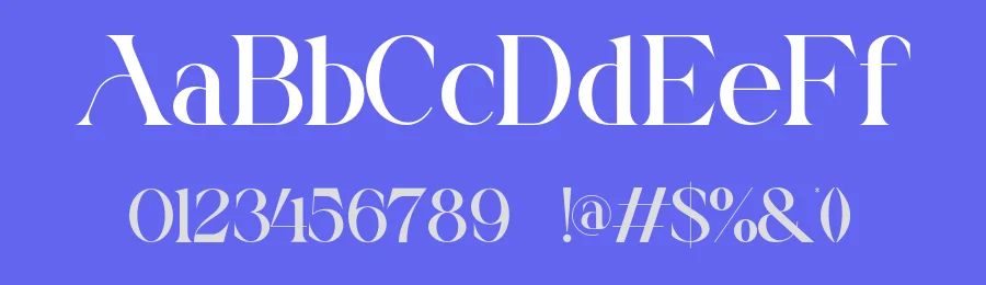 Aerisa Font by SlideShoot — Serif Font — thumbnail 3