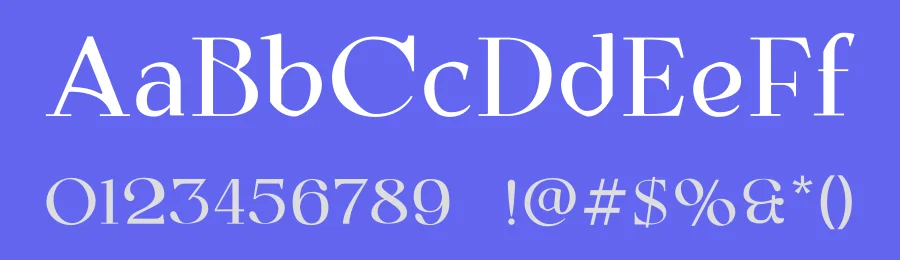 Aesthetic Beauty Font by Mevricks Studio — Serif Font — thumbnail 3