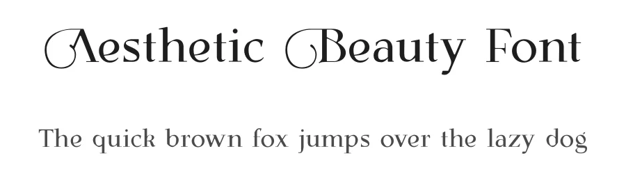 Aesthetic Beauty Font by Mevricks Studio — Serif Font