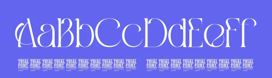 Aesthetic Relations – Luxury Display Font by 177Studio — Display Font — thumbnail 3