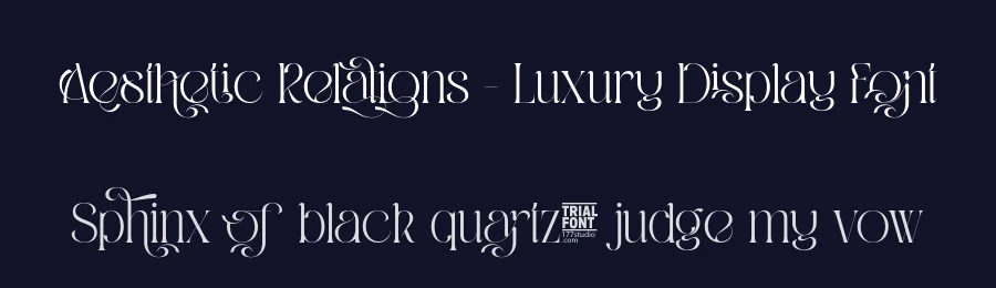 Aesthetic Relations – Luxury Display Font by 177Studio — Display Font — thumbnail 2
