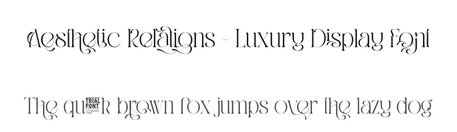 Aesthetic Relations – Luxury Display Font by 177Studio — Display Font