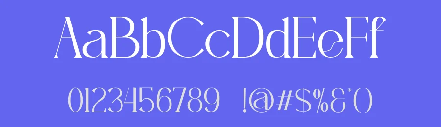 Afante Font by SlideShoot — Serif Font — thumbnail 3