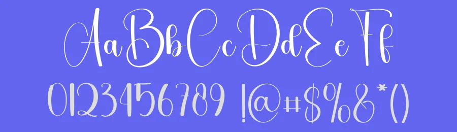 After Party – Handwritten Script Font by freshtypeink — Script Handwritten Font — thumbnail 3