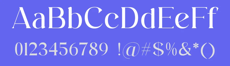 Aftesto Serif Font by Storytype — Serif Font — thumbnail 3