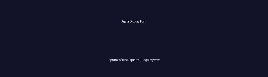 Agata Display Font by Storytype — Serif Font — thumbnail 2