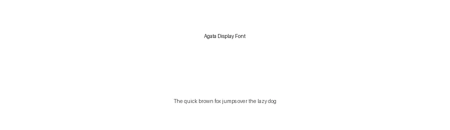 Agata Display Font by Storytype — Serif Font