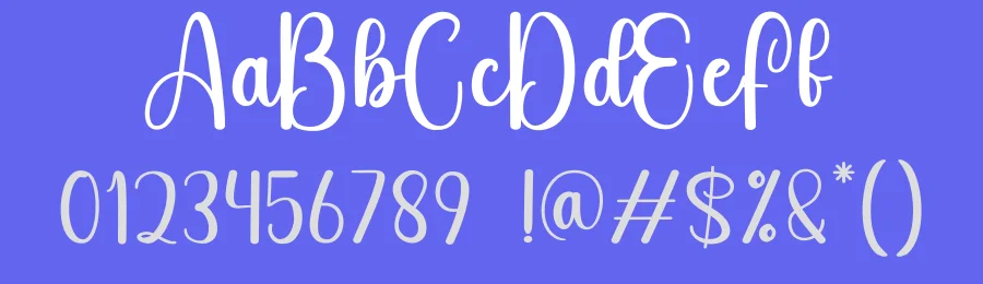 Agency Script Font by andikastudio — Script Handwritten Font — thumbnail 3