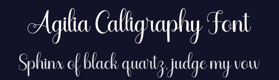 Agilia Calligraphy Font by letterenastudios — Script Handwritten Font — thumbnail 2