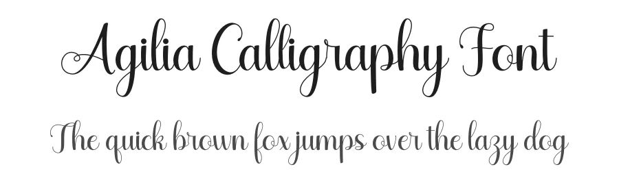 Agilia Calligraphy Font by letterenastudios — Script Handwritten Font
