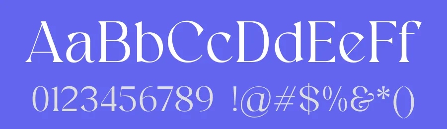 Agina Font by Rantautype — Serif Font — thumbnail 3