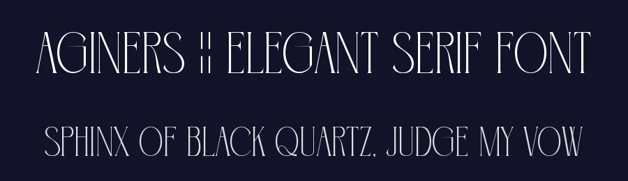 Aginers || Elegant Serif Font by ErmediaStudio — Display Font — thumbnail 2