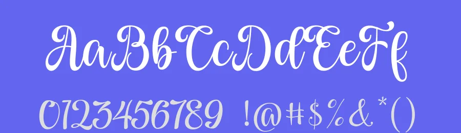 Agisha Script Font by Black Studio — Script Handwritten Font — thumbnail 3