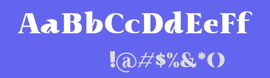 Agiska Font by javatype studio — Serif Font — thumbnail 3