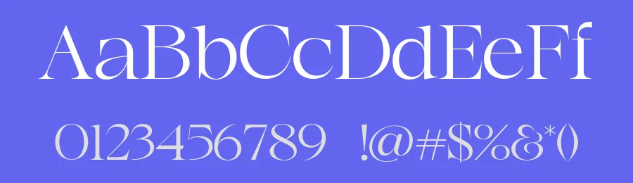 Agista Display Font by Marvadesign — Serif Font — thumbnail 3
